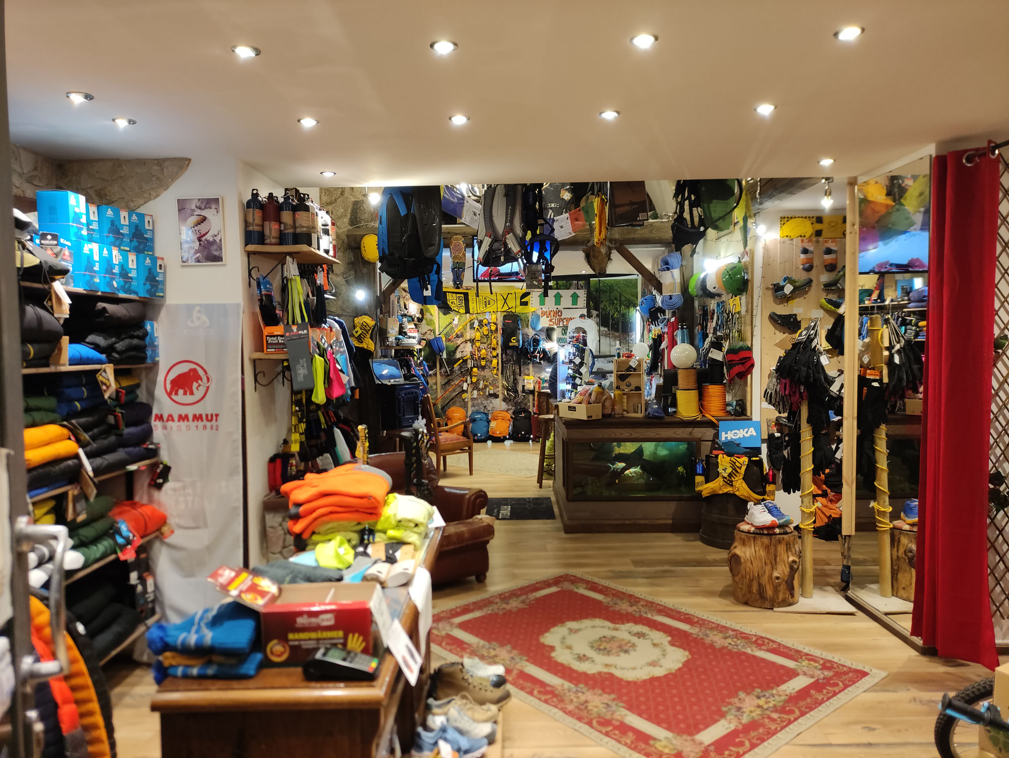 survivor store l'aquila
