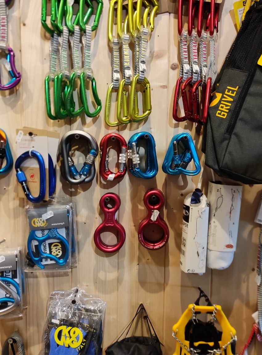 survivor store l'aquila