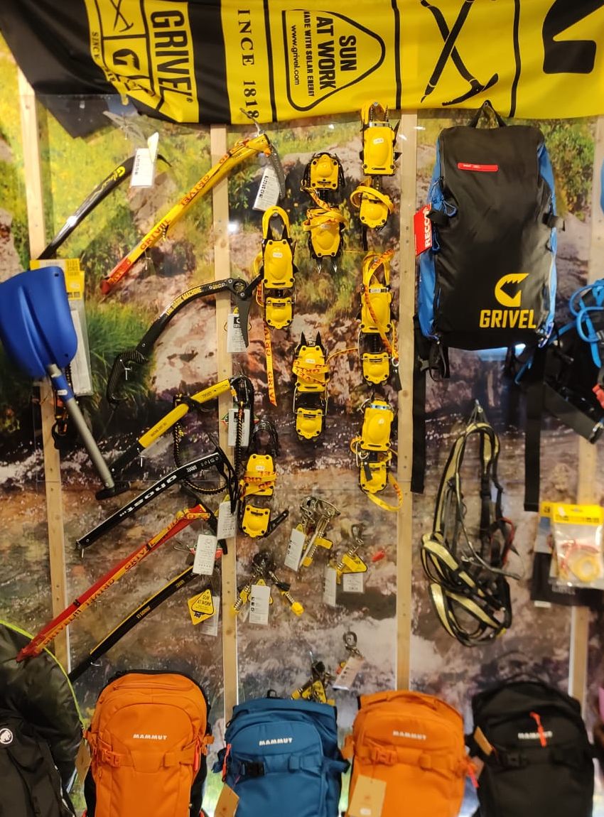 survivor store l'aquila