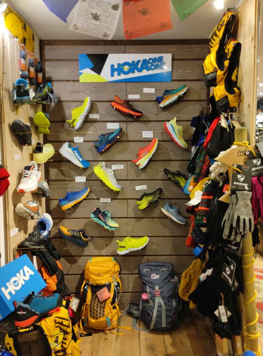 survivor store l'aquila